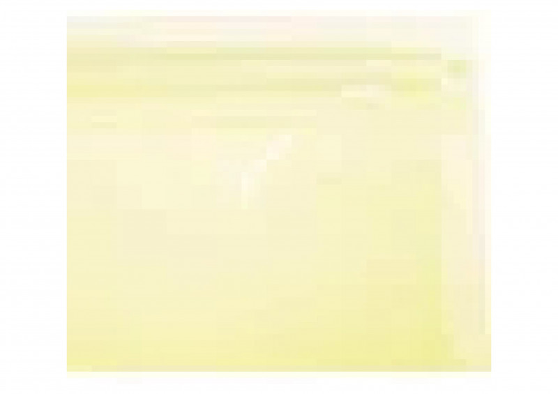 Пакет вакуумный VETTA BL-6004 90х40х100см